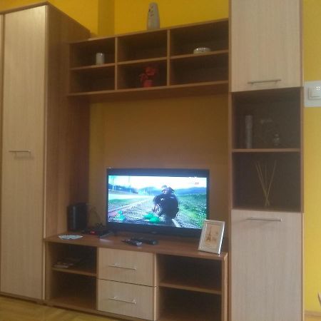 Apartman Marina Sa Garazom Novi Sad Bagian luar foto
