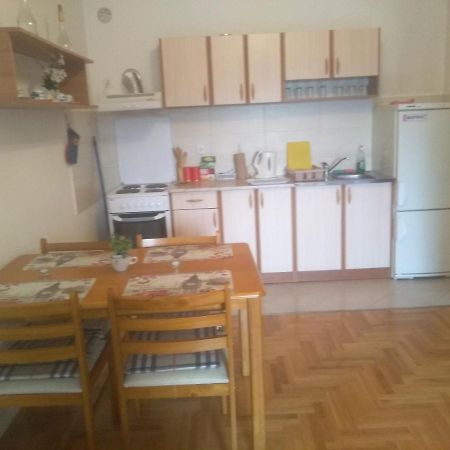 Apartman Marina Sa Garazom Novi Sad Bagian luar foto
