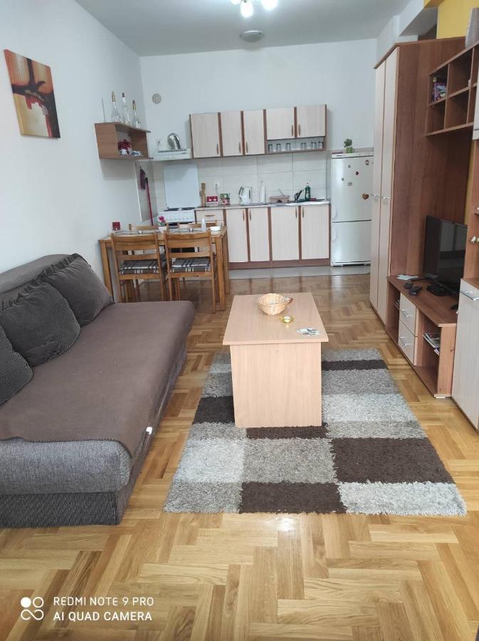 Apartman Marina Sa Garazom Novi Sad Bagian luar foto