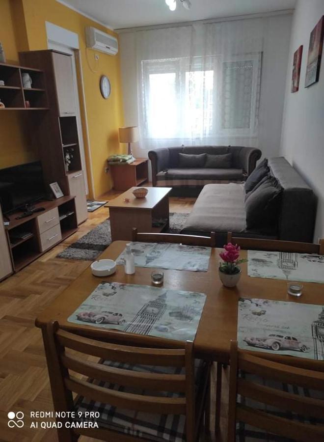 Apartman Marina Sa Garazom Novi Sad Bagian luar foto