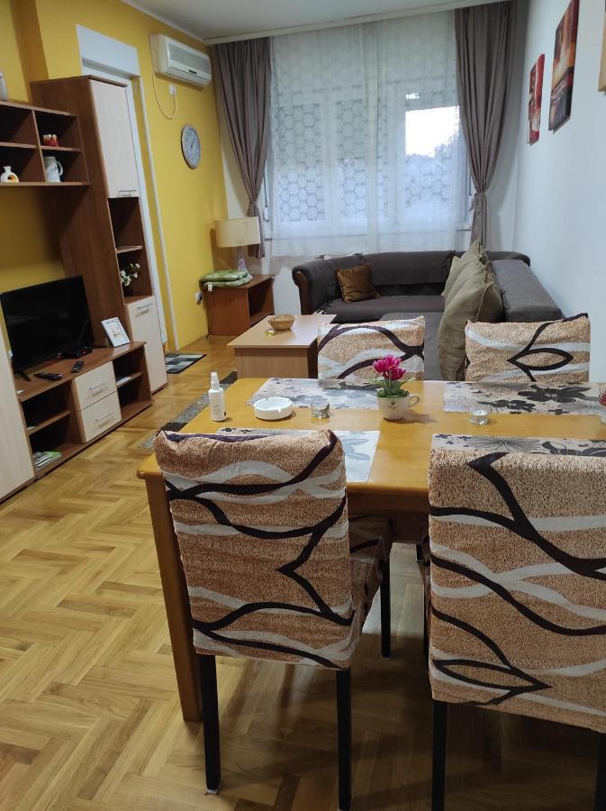 Apartman Marina Sa Garazom Novi Sad Bagian luar foto