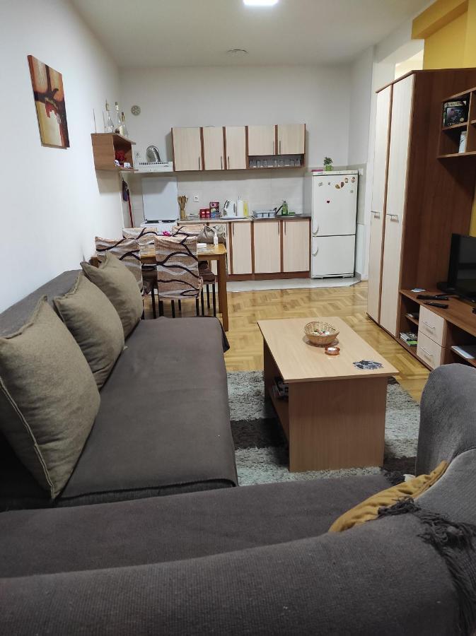 Apartman Marina Sa Garazom Novi Sad Bagian luar foto