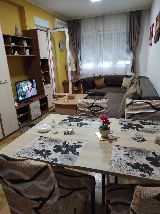 Apartman Marina Sa Garazom Novi Sad Bagian luar foto