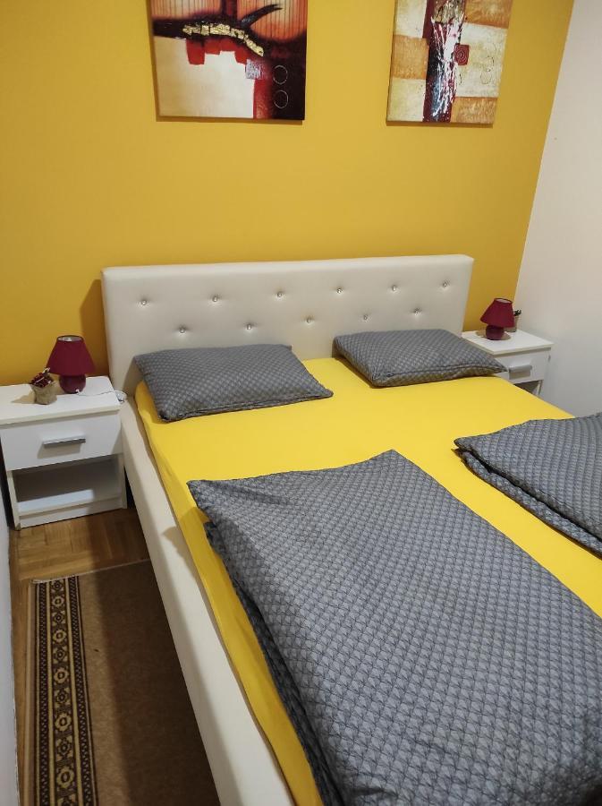 Apartman Marina Sa Garazom Novi Sad Bagian luar foto