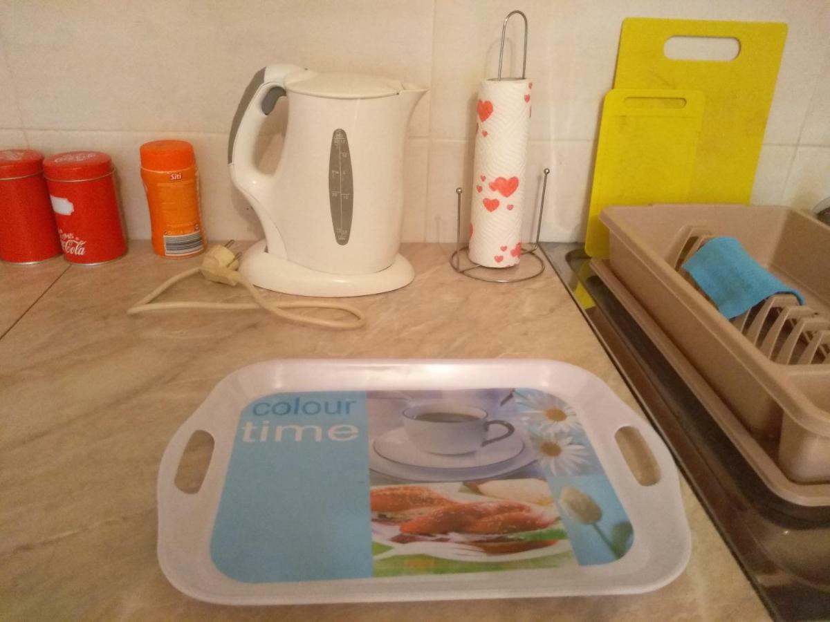 Apartman Marina Sa Garazom Novi Sad Bagian luar foto