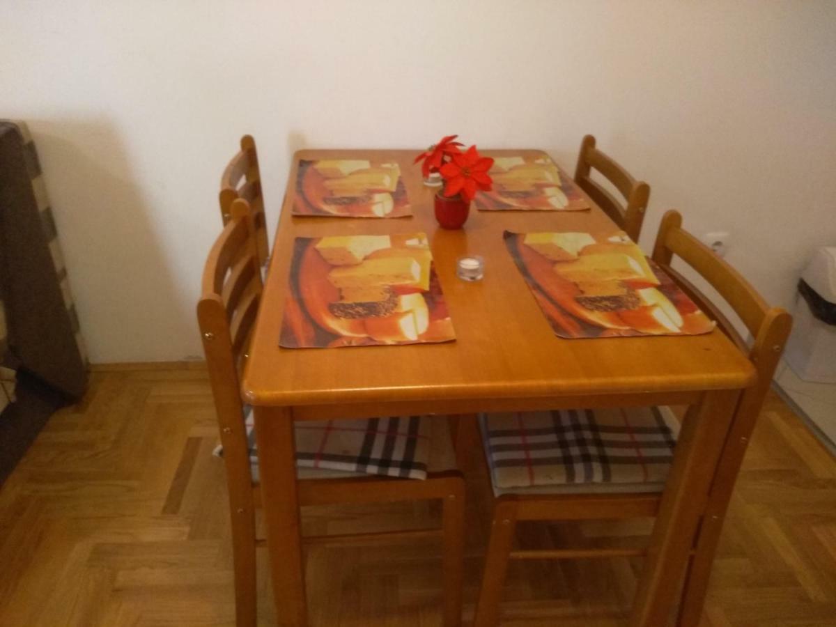 Apartman Marina Sa Garazom Novi Sad Bagian luar foto