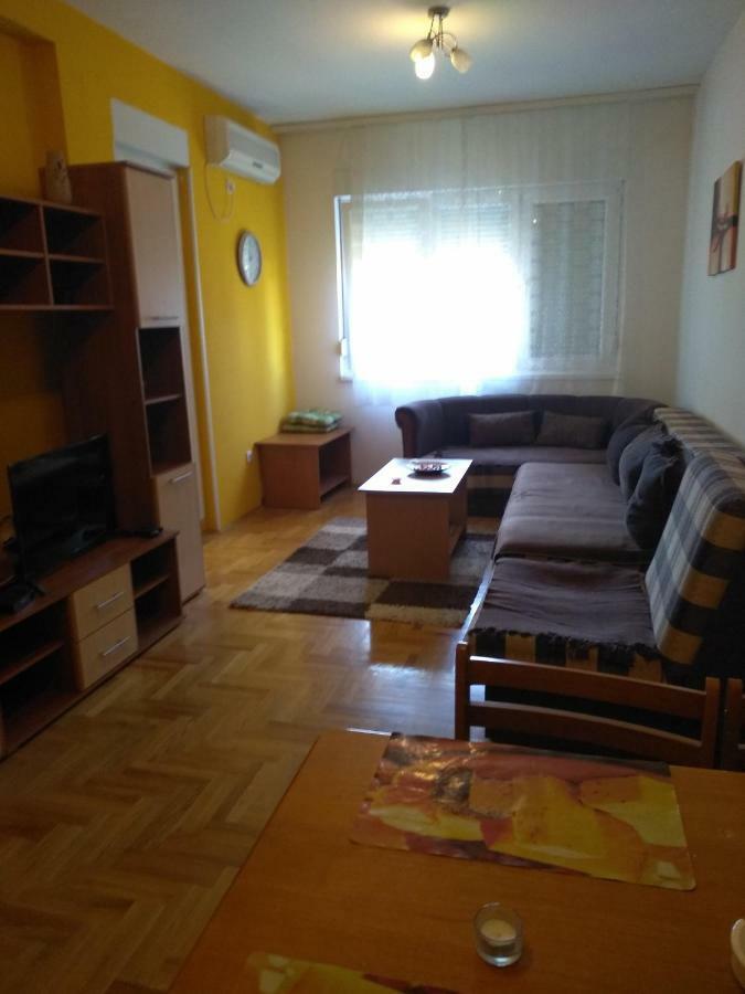 Apartman Marina Sa Garazom Novi Sad Bagian luar foto