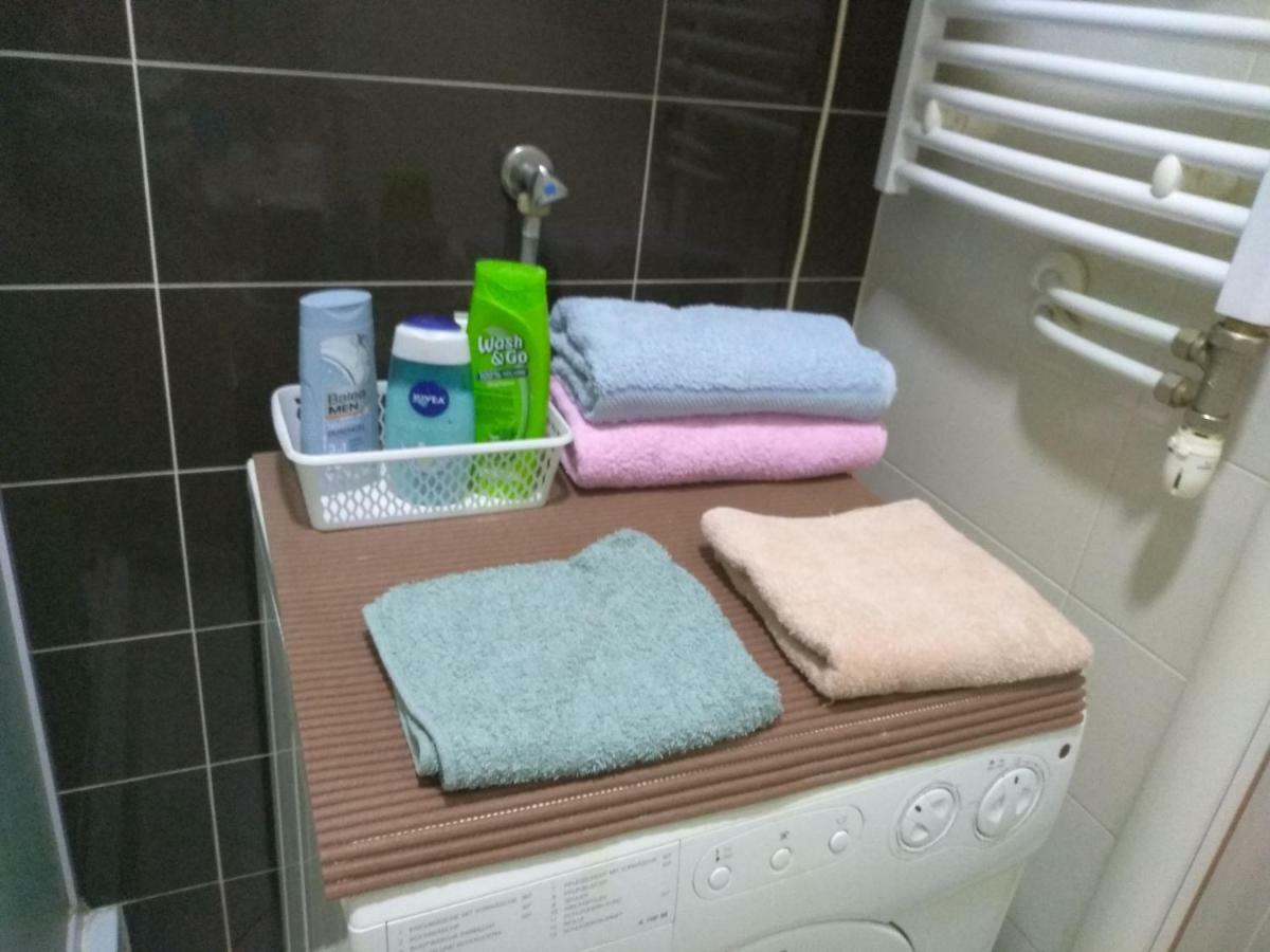 Apartman Marina Sa Garazom Novi Sad Bagian luar foto