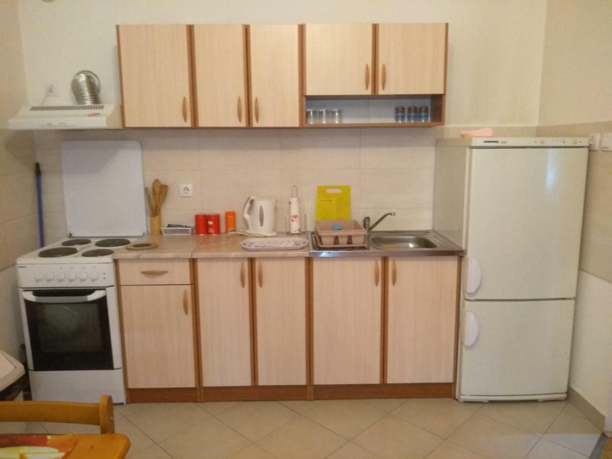 Apartman Marina Sa Garazom Novi Sad Bagian luar foto