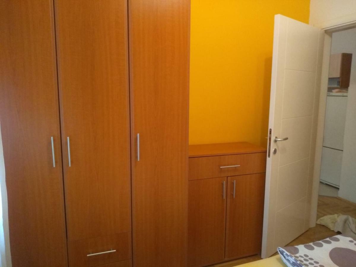 Apartman Marina Sa Garazom Novi Sad Bagian luar foto