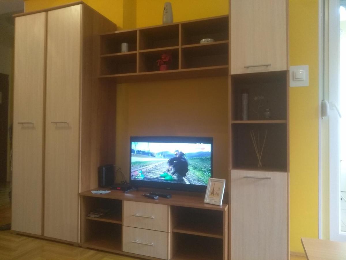 Apartman Marina Sa Garazom Novi Sad Bagian luar foto