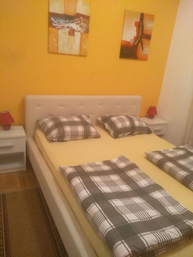 Apartman Marina Sa Garazom Novi Sad Bagian luar foto