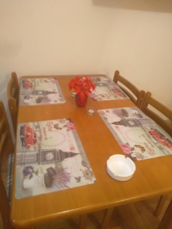 Apartman Marina Sa Garazom Novi Sad Bagian luar foto