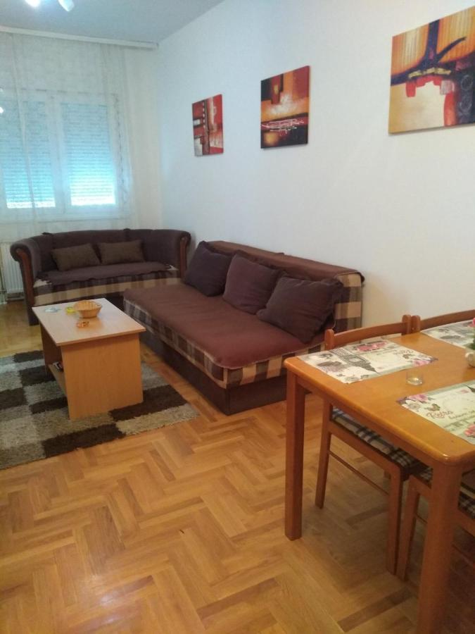 Apartman Marina Sa Garazom Novi Sad Bagian luar foto