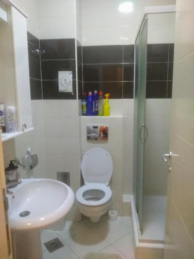 Apartman Marina Sa Garazom Novi Sad Bagian luar foto
