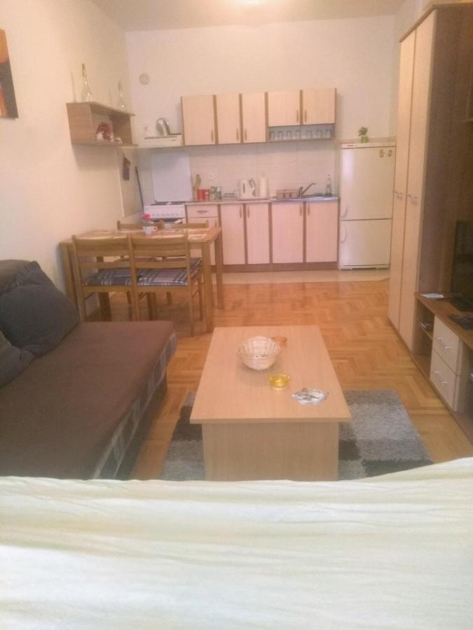 Apartman Marina Sa Garazom Novi Sad Bagian luar foto